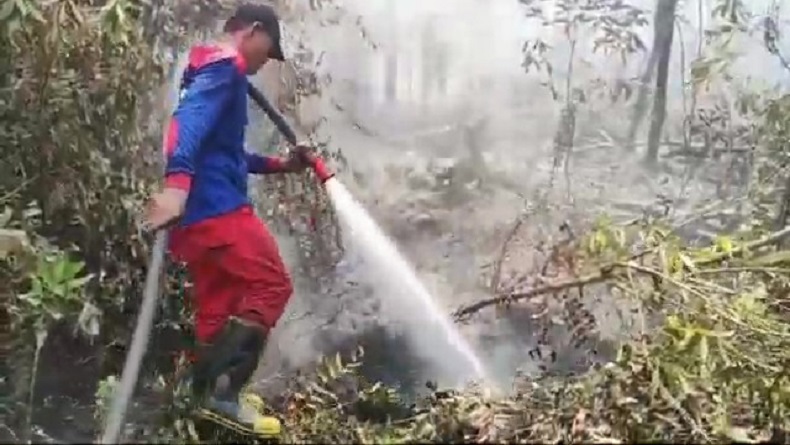 Karhutla di Kalampangan Palangka Raya Belum Padam, Petugas Kewalahan Kendalikan Api