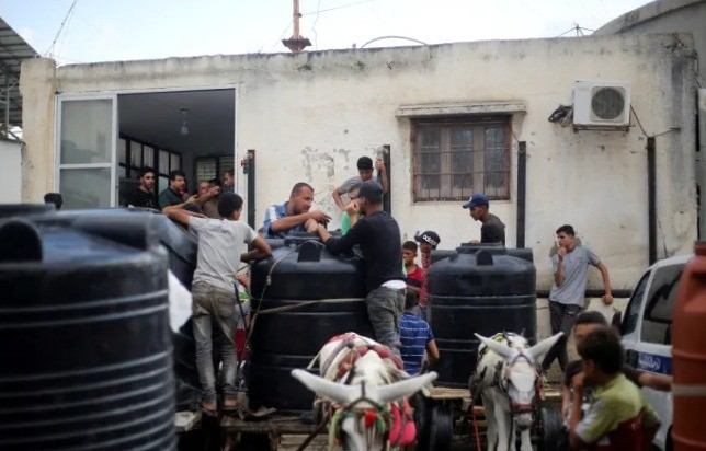 Krisis Bahan Bakar, Warga Gaza Kerahkan Keledai untuk Angkut Logistik