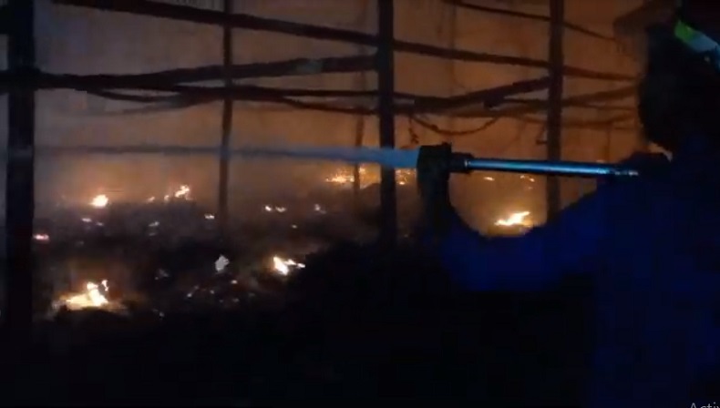 Kandang Ayam di Probolinggo Ludes Terbakar, Ribuan Ternak Mati Terpanggang