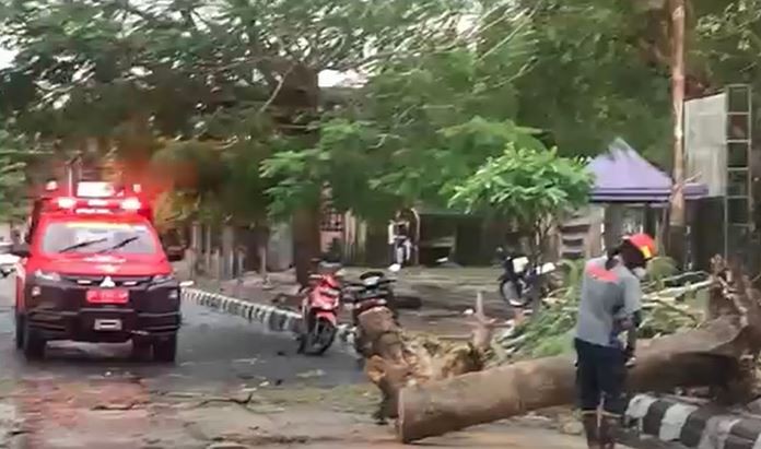 Hujan Deras dan Angin Kencang Terjang 5 Desa di Blitar, Puluhan Rumah Rusak