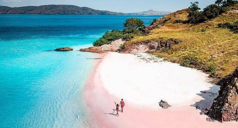 5 Surga Tersembunyi Wisata Bawah Laut di Indonesia yang Harus Dikunjungi Sekali Seumur Hidup!