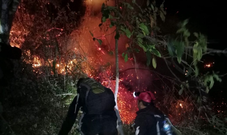 Kebakaran Gunung Arjuno, Api Berkobar di Medan Terjal Sulit Dipadamkan 