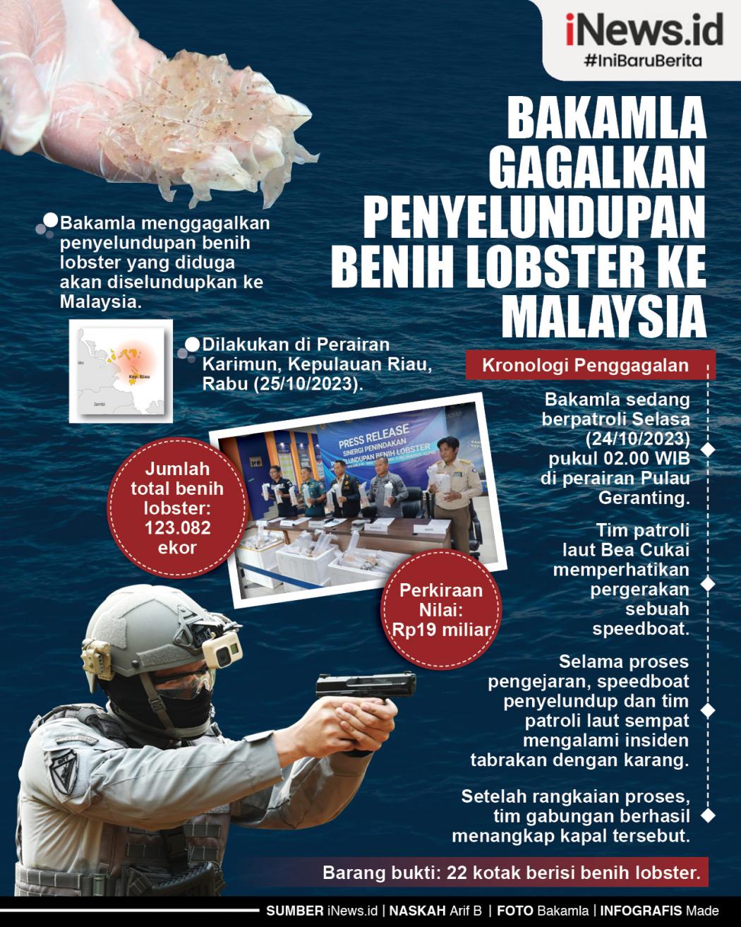 Infografis Bakamla Gagalkan Penyelundupan Benih Lobster ke Malaysia