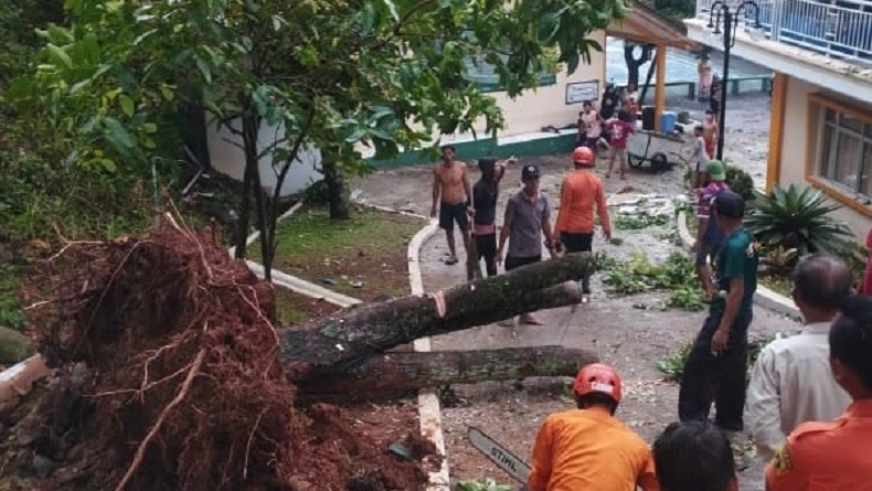 Hujan Deras Disertai Angin, Pohon di Leuwiliang Bogor Timpa Atap PAUD