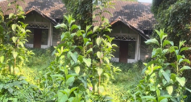 Viral Wisatawan Pesan Villa lewat Website, Ternyata Aslinya Penginapan Terbengkalai 