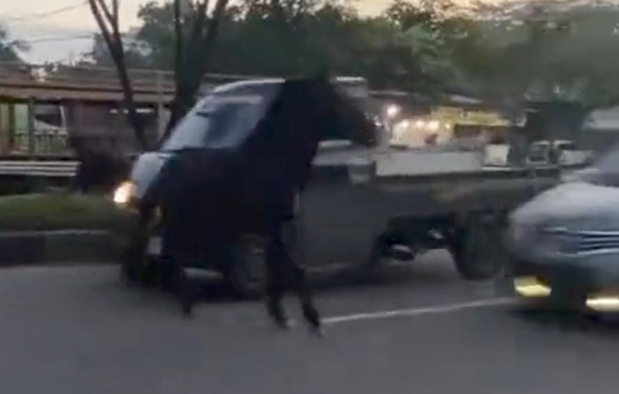 Viral Mobil Hancur Usai Tabrak Kuda yang Terlepas ke Jalan