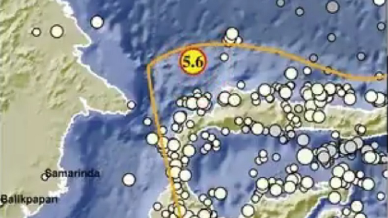 Gempa Terkini M 5,6 Guncang Toli-Toli Sulteng, Berpusat di Laut