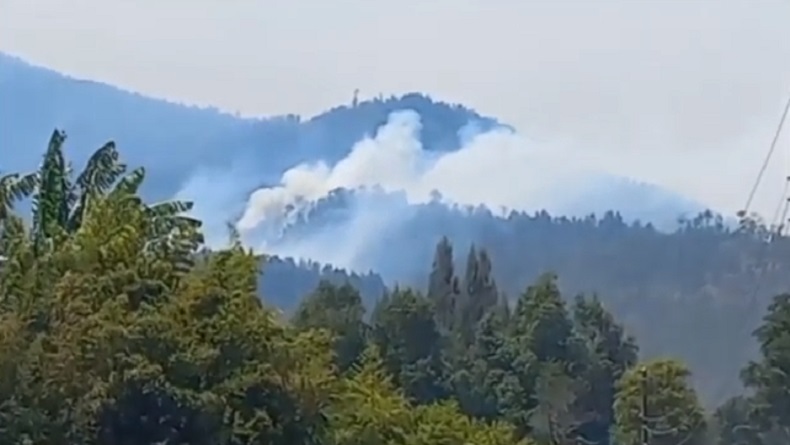 Kebakaran Hutan di Lereng Gunung Merbabu Meluas hingga Boyolali dan Magelang 