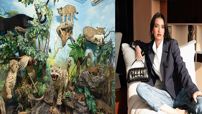 Viral Museum Hewan Milik Ayah Raline Shah Digugat Netizen, Ternyata Isinya Ini