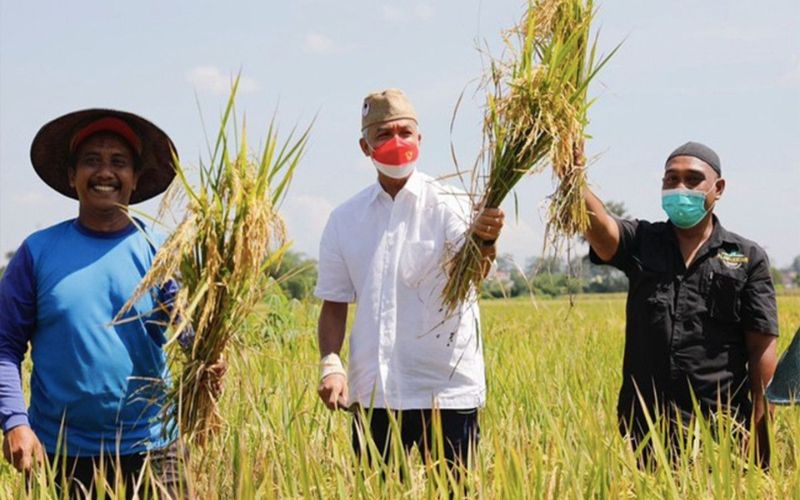  Prestasi Ganjar Pranowo di Sektor Pertanian, Salah Satunya Menyelamatkan Petani dari Bencana!