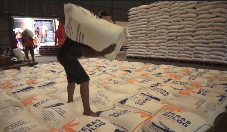 Pemerintah Diminta Tekan Impor Beras, Ekonom : Selamatkan Petani Lokal 