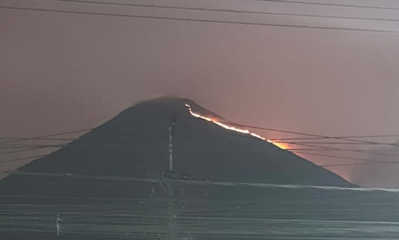 Gunung Penanggungan Kebakaran, Kobaran Api Terlihat hingga Sidoarjo dan Pasuruan