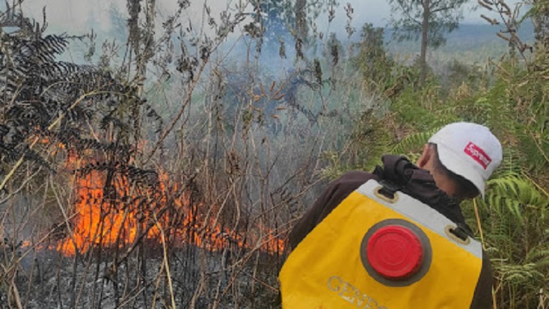 Karhutla di Kaki Gunung Rinjani, 95 Hektare Lahan Hangus Terbakar