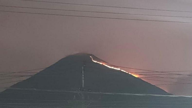Kebakaran Gunung Penanggungan di Mojokerto Meluas, 80 Hektare Lahan Hangus
