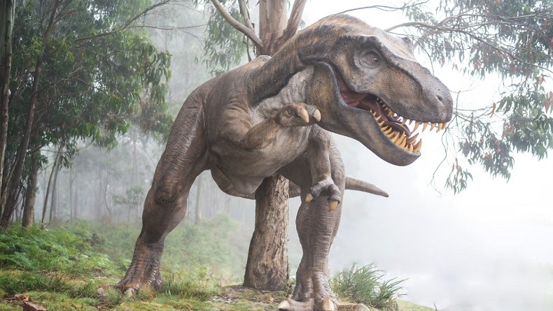 Tragis, Kematian Dinosaurus Diduga akibat Debu Asteroid