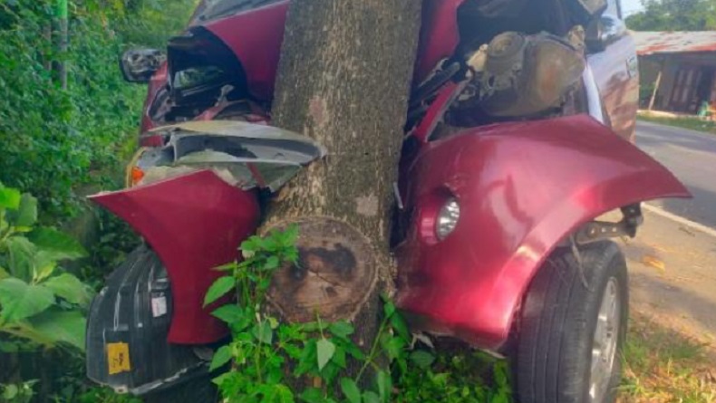 Kecelakaan di Pidie Jaya, Avanza Tabrak Pohon hingga Ringsek Parah, 1 Orang Tewas 2 Luka