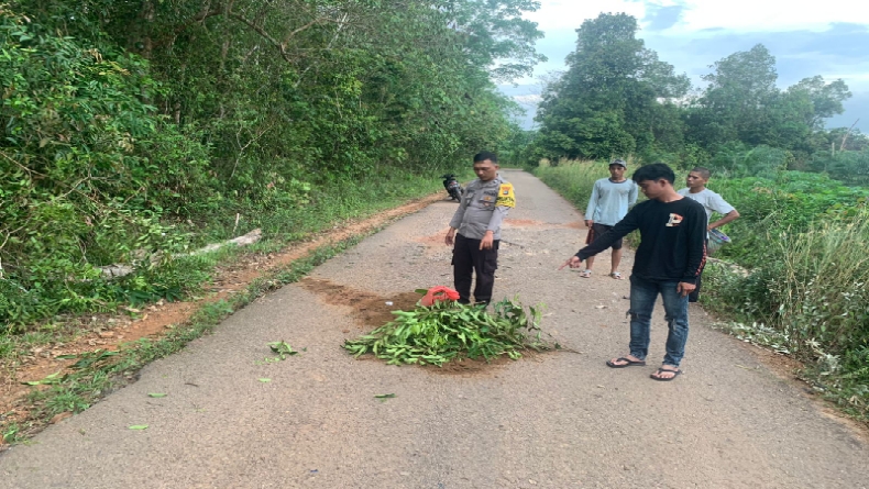 Kecelakaan di Bangka Barat, Pengendara Sepeda Motor Tewas Tertimpa Pohon Karet