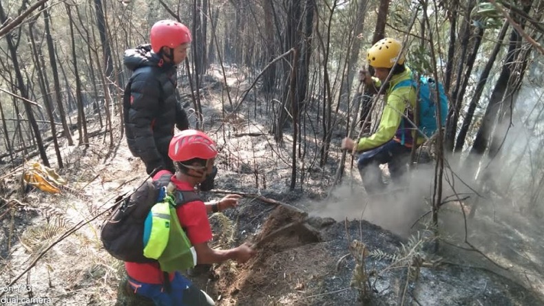 Kebakaran Gunung Kawi Meluas hingga 45 Hektare, Titik Api Sulit Dijangkau