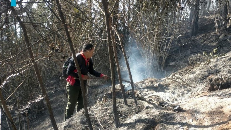 Kebakaran Gunung Kawi Malang Akhirnya Padam, 46 Hektare Hutan Lindung Hangus