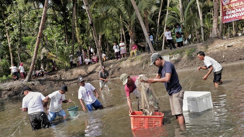 Warga Bojongsalawe Pangandaran Panen Ikan Mujair Berkat Bantuan Nelayan Balad Ganjar