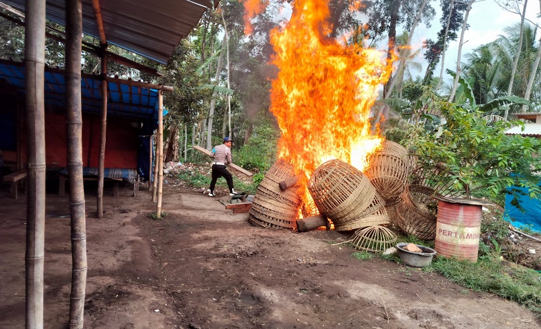 Arena Judi Sabung Ayam di Malang Digerebek Polisi, Properti Dibakar