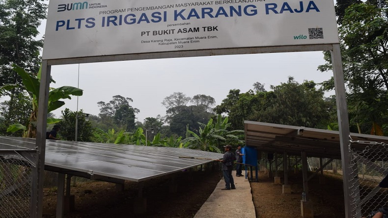Cerita Petani Lingkar Tambang Bukit Asam Manfaatkan PLTS Irigasi untuk Tingkatkan Produksi Padi