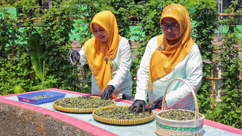 Berkat BRInita, Teh Herbal Jadi Produk Unggulan Poktan Bensor Semarang