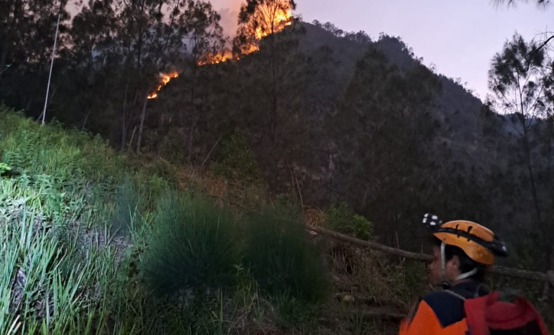 Kebakaran di Gunung Panderman Batu Meluas, 40 Personel Gabungan Dikerahkan ke Titik Api