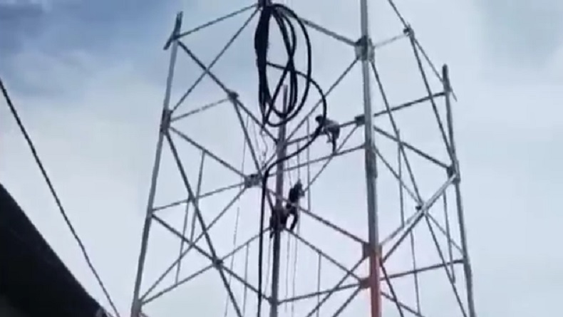 Kronologi Pekerja Tower Tewas Mengenaskan Terjatuh Usai Gempa, Tersangkut di Sela Menara