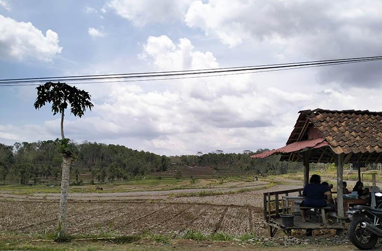 Alih Fungsi Lahan Pertanian di Gunungkidul Tembus 10.000 Hektare, Ini Penyebabnya