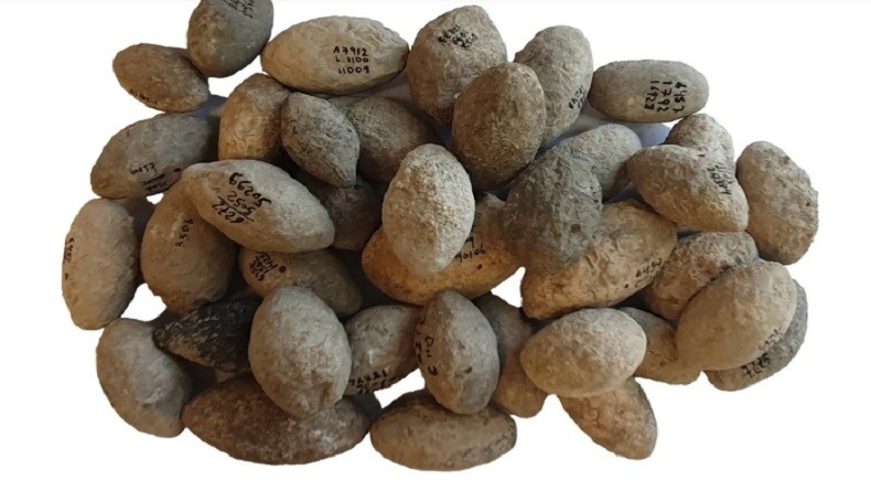 Ratusan Alat Perang Berusia 7.200 Tahun Ditemukan di Israel, Jadi Tertua di Dunia