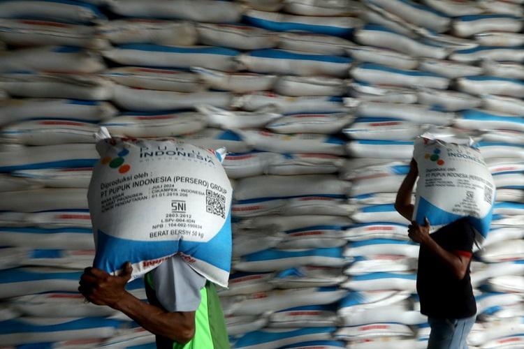 Menelisik Siasat Pupuk Indonesia Halau Ancaman Krisis Pangan Nasional 
