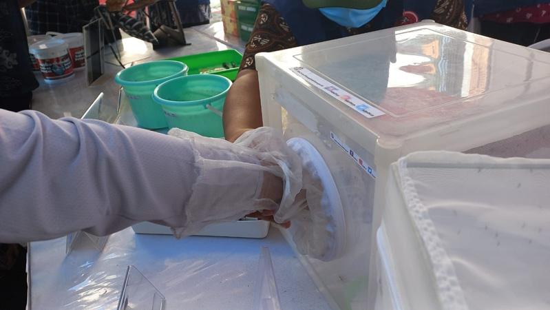 Dinkes Targetkan 2024 Penyebaran Nyamuk Wolbachia Sasar Seluruh Wilayah Kota Semarang