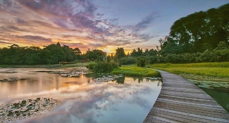 Ide Liburan ke Kebun Raya Cibinong, Intip Harga Tiket dan Fasilitasnya 