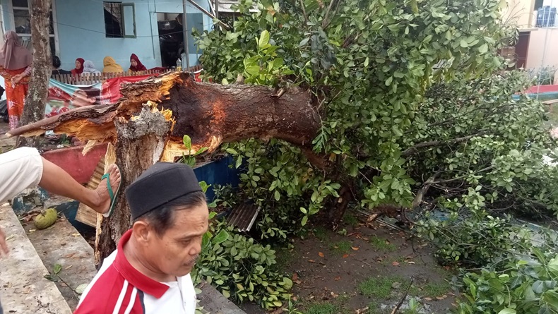 Pohon Nangka Besar Tumbang Timpa Warung di KBB, Begini Kondisi Pemiliknya