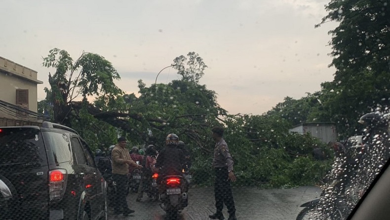 Pohon Tumbang di Daan Mogot Jakbar, Ruas Jalan Tertutup