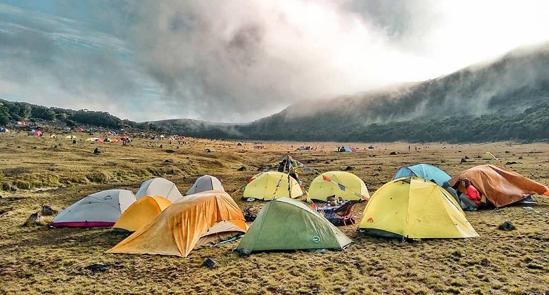 Wisatawan ke Gunung Gede Pangrango Meningkat, Sampah di Pendakian Ganggu Habitat