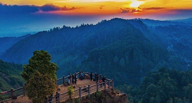 Ide Liburan ke Dago saat Akhir Pekan, Salah Satunya Ajak si Kecil Main dengan Burung