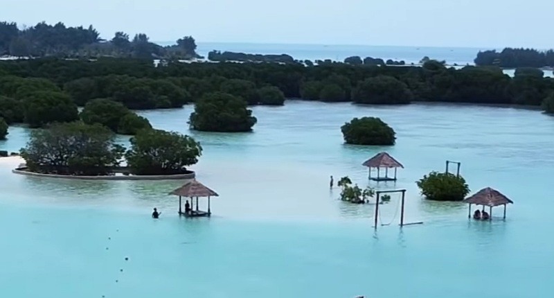 Surga Tersembunyi di Kepulauan Seribu, Wajib Singgah ke Pulau Pari Pantainya Putih Halus 