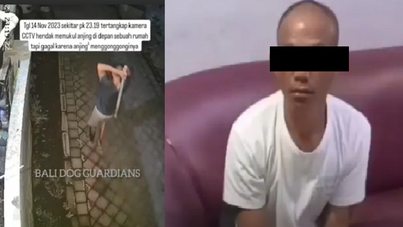 Viral Pencuri Babi di Badung Ditangkap, Ternyata Penganiaya Anjing Warga yang Diburu Netizen