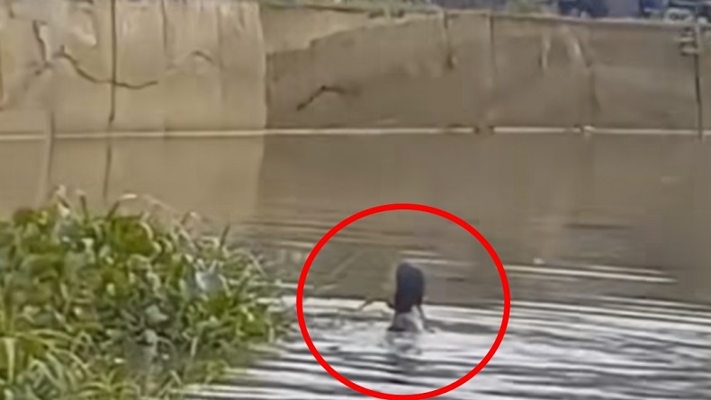 Viral Perempuan Nekat Loncat ke Situ Wanaherang Bogor, Berhasil Ditolong Warga