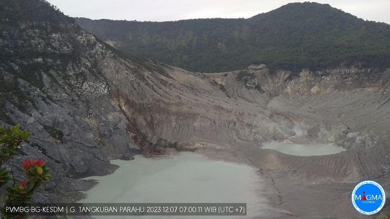 Hutan Kawasan Gunung Tangkuban Parahu di Bandung Barat Terbakar