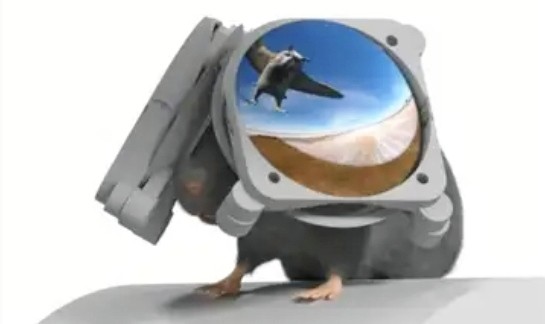 Ilmuwan Ciptakan Kacamata VR untuk Tikus Laboratorium