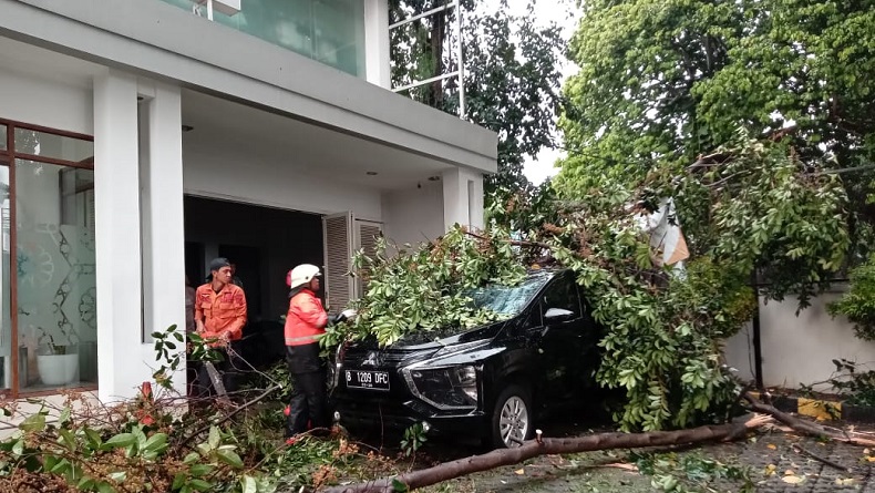 Hujan Deras di Bogor, Sejumlah Pohon Tumbang hingga Atap Rumah Terbawa Angin