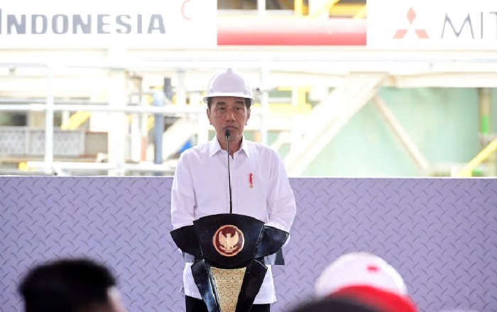 Resmikan Smelter Freeport di Gresik, Jokowi Target Produksi 3 Juta per Tahun