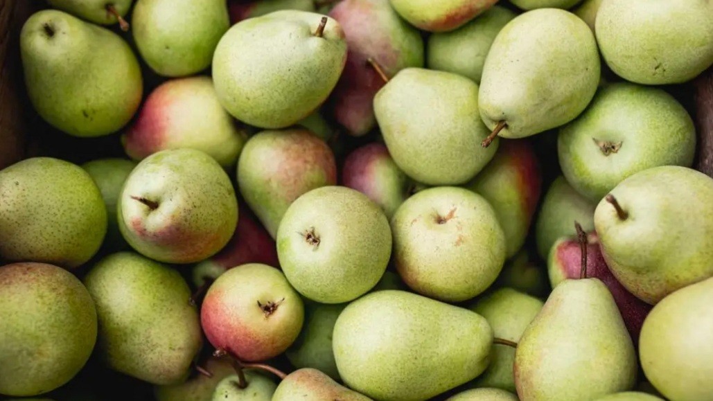 Bukan Cuma Nikmat, Ini 4 Manfaat Buah Pir untuk Kesehatan