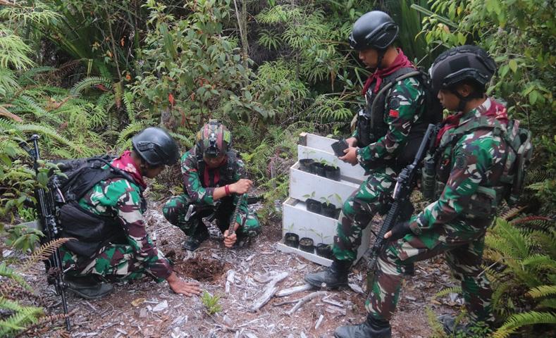 Peringati Hari Juang TNI AD, Satgas Yonif 330 Hijaukan Hutan Gundul di Intan Jaya