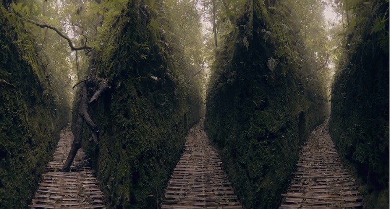 Viral Ada Wisata Lorong Lumut di Lembang, Netizen: Takut Nyasar ke Alam Gaib