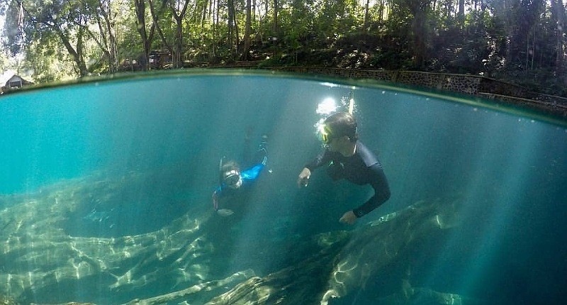 Kampung Unik di Malang, di Desa Terpencilnya Bisa Lihat Kolam Jernih Berisi Ikan Usia Ratusan Tahun 