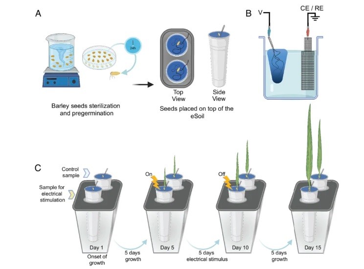 Ilmuwan Kembangkan Tanah Elektronik, Bantu Percepat Pertumbuhan Tanaman